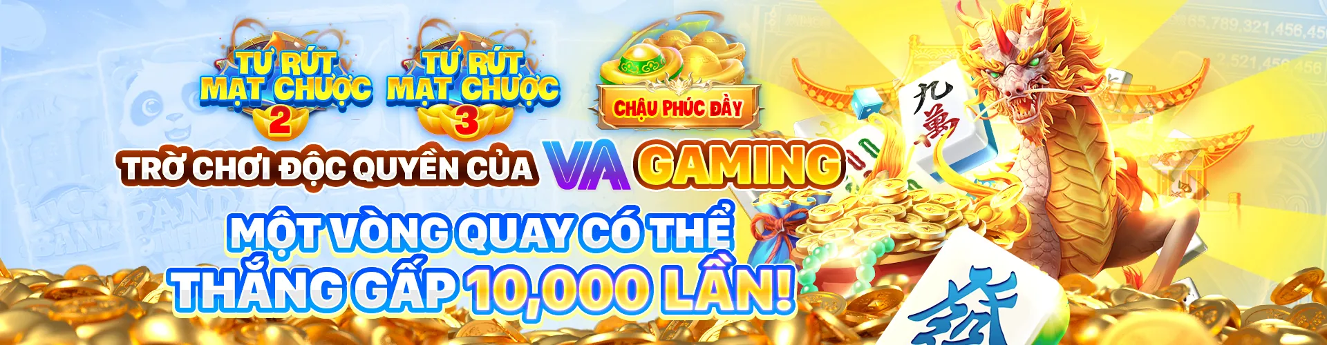 Tổng quan nền tảng 8us code