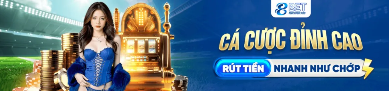 Hình ảnh chính sách quyền riêng tư của 8us code